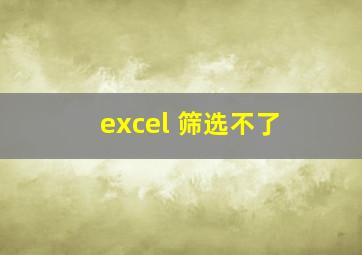 excel 筛选不了